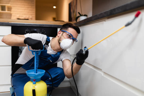 Best Pest Removal Services  in Highfill, AR