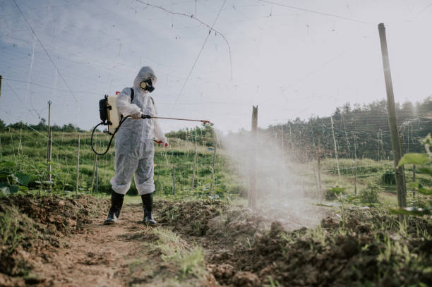 Best Ant Control Services  in Highfill, AR