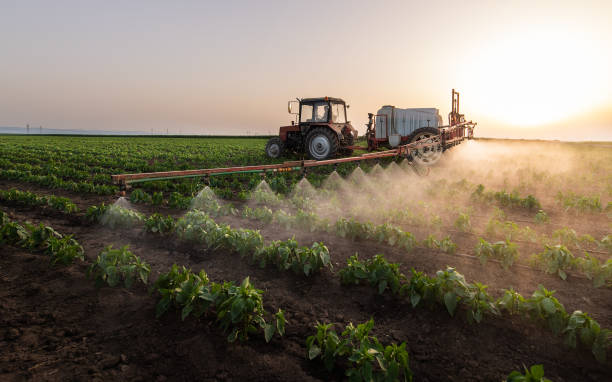 Best Pest Prevention Services  in Highfill, AR