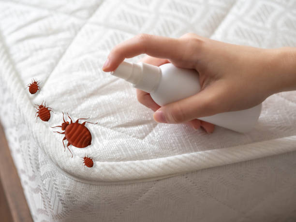 Highfill, AR Pest Control Company