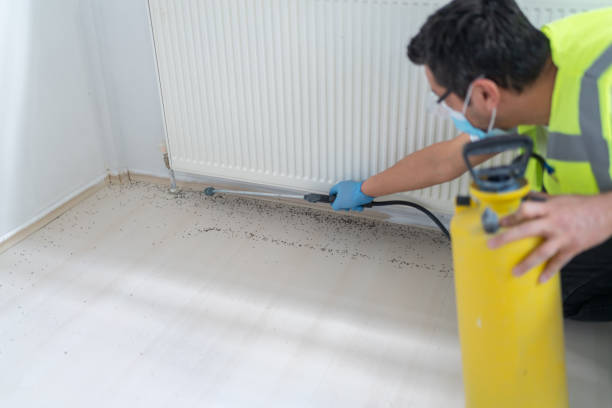 Best Termite Control Services  in Highfill, AR